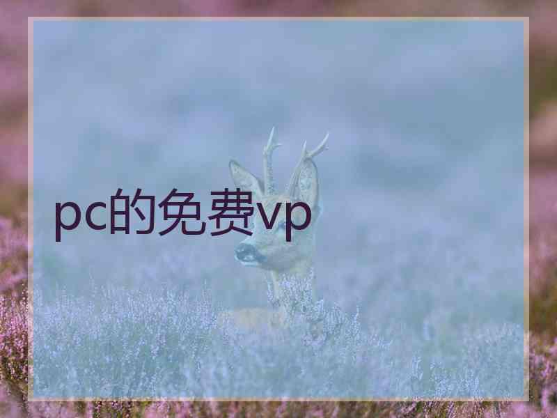 pc的免费vp