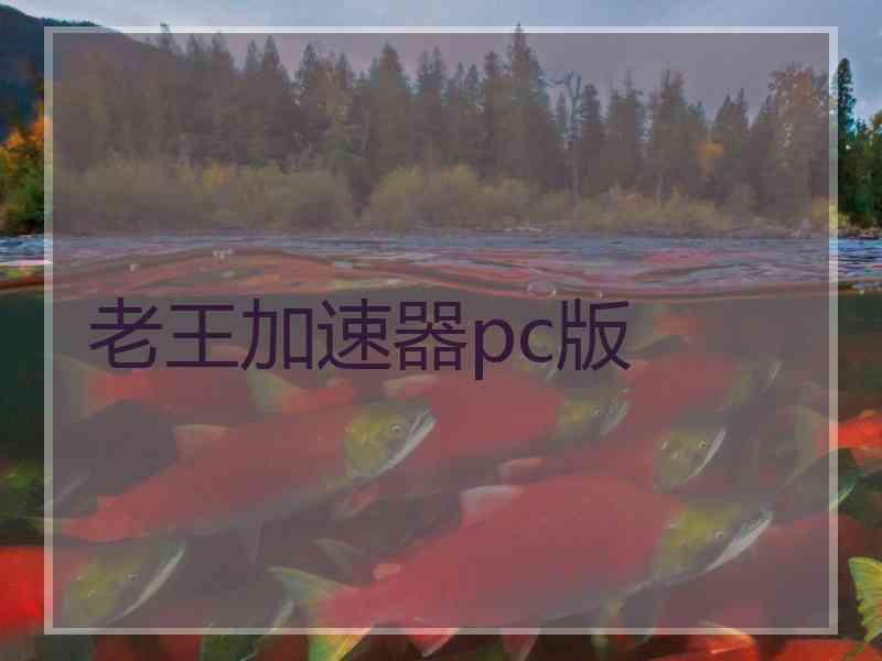 老王加速器pc版