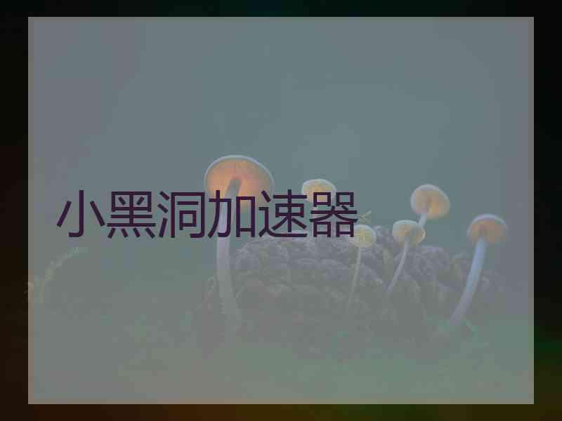 小黑洞加速器