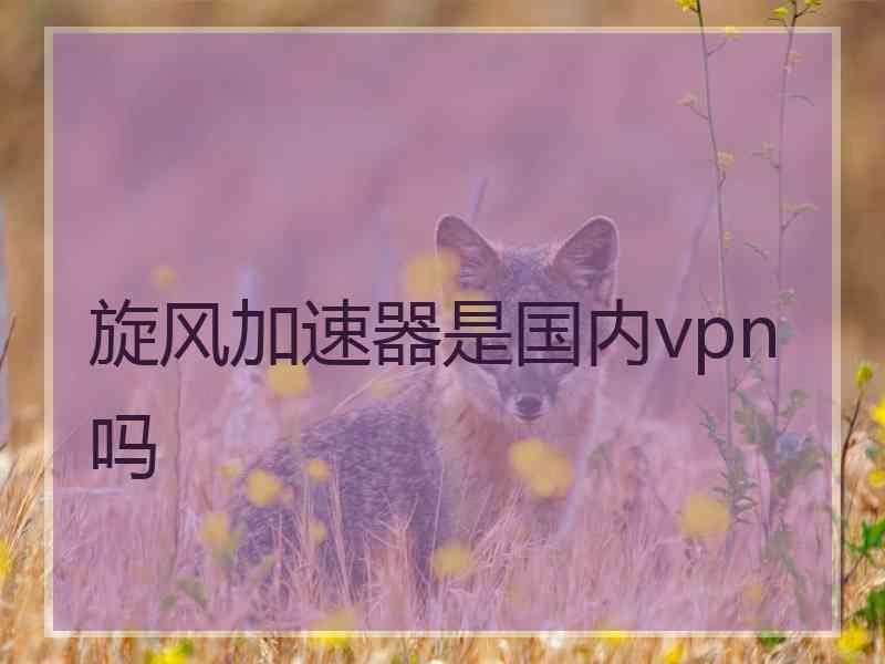 旋风加速器是国内vpn吗