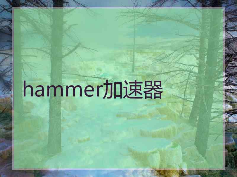 hammer加速器