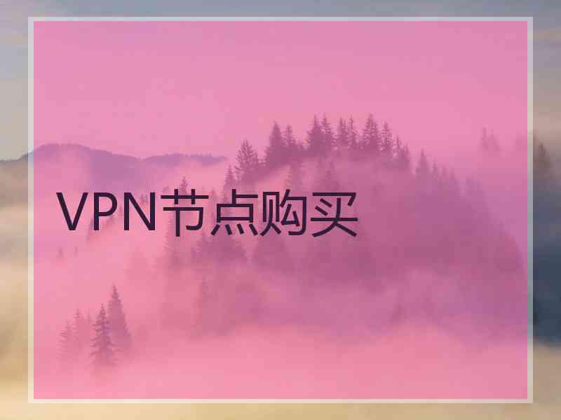 VPN节点购买