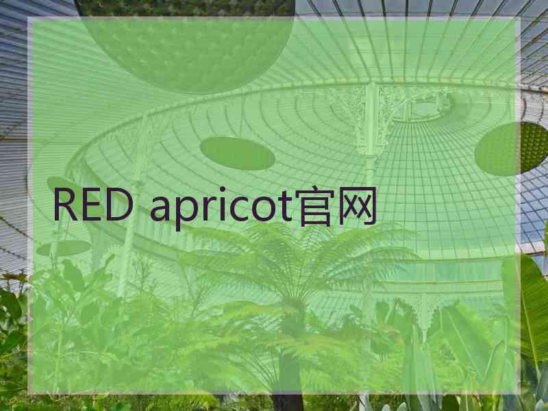 RED apricot官网