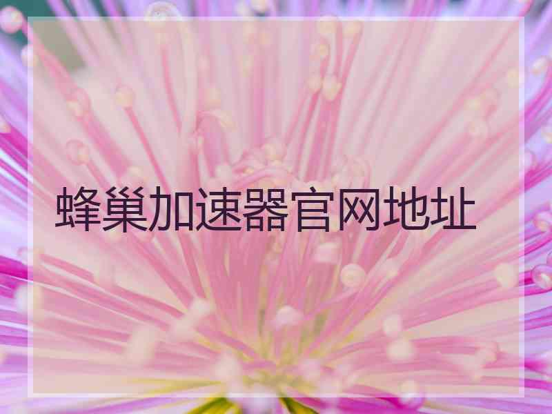 蜂巢加速器官网地址