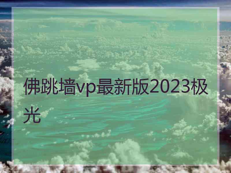 佛跳墙vp最新版2023极光