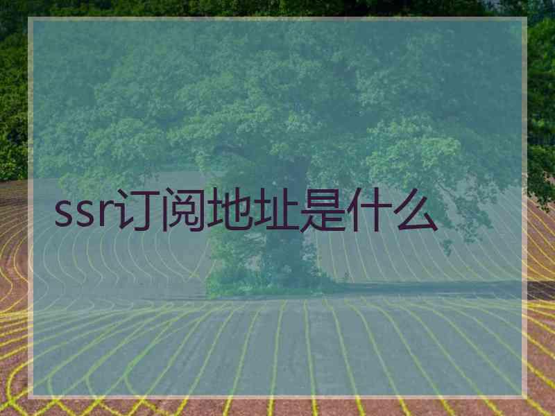 ssr订阅地址是什么