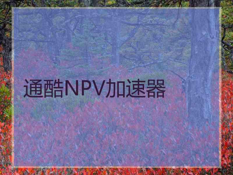 通酷NPV加速器