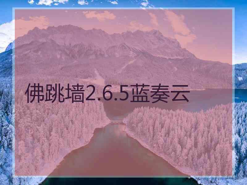 佛跳墙2.6.5蓝奏云