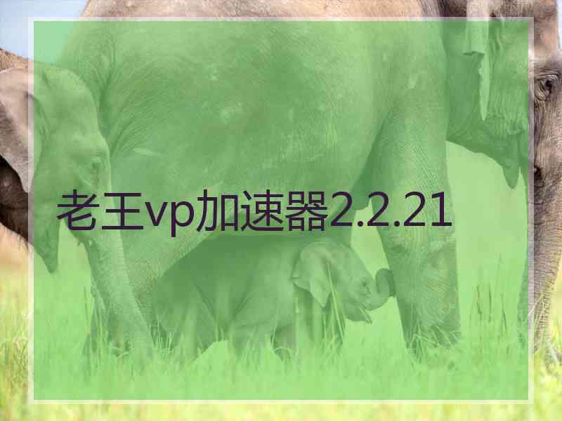 老王vp加速器2.2.21