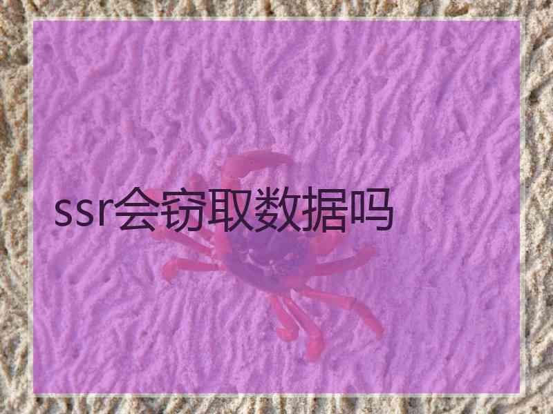 ssr会窃取数据吗