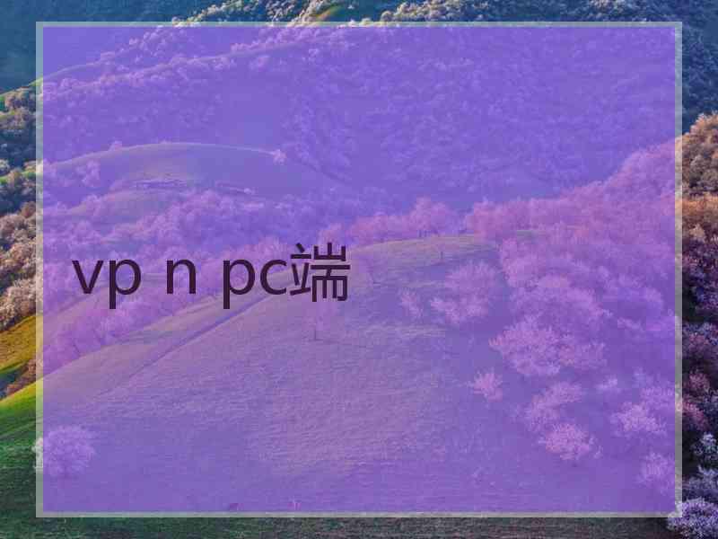 vp n pc端