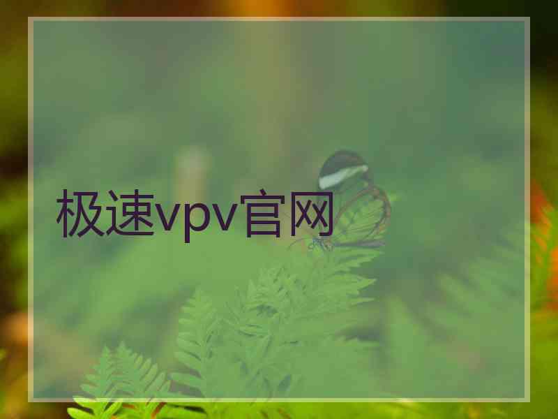 极速vpv官网