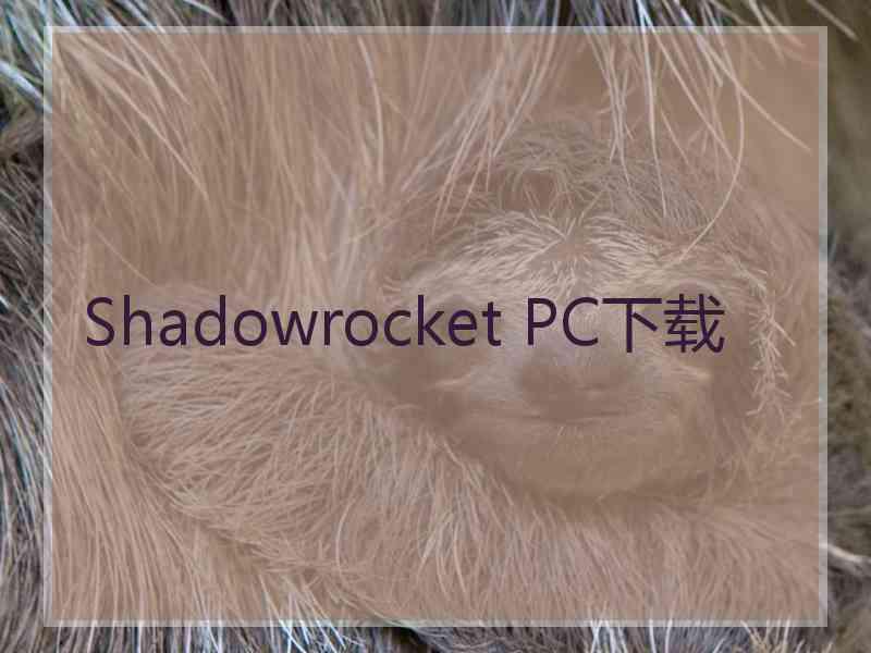 Shadowrocket PC下载