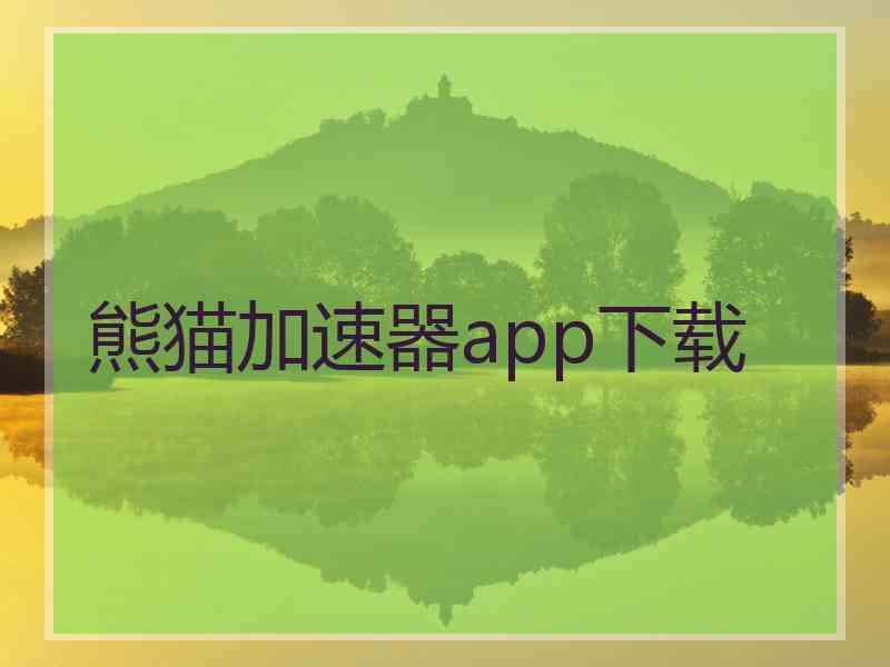 熊猫加速器app下载