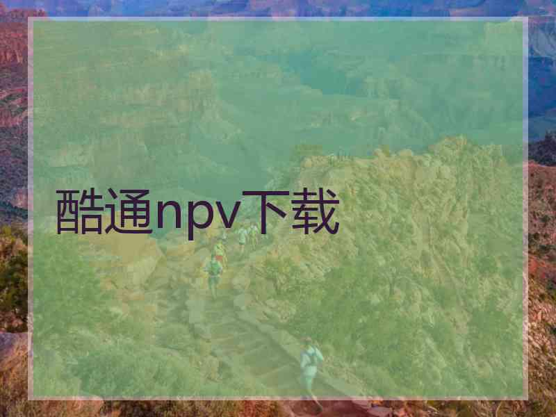 酷通npv下载