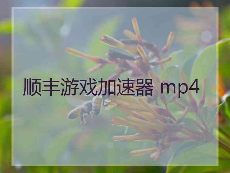 顺丰游戏加速器 mp4