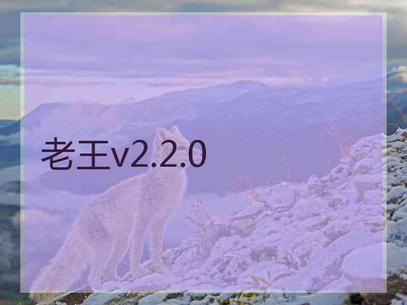 老王v2.2.0