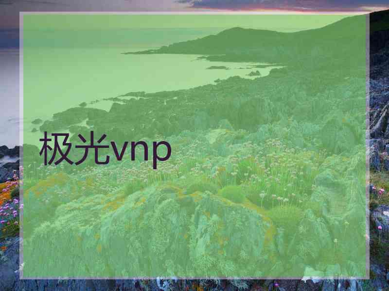 极光vnp