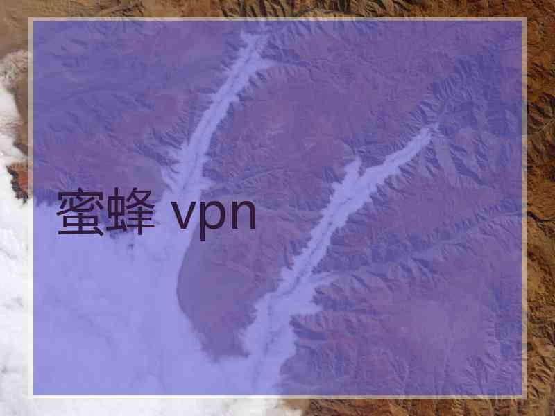 蜜蜂 vpn