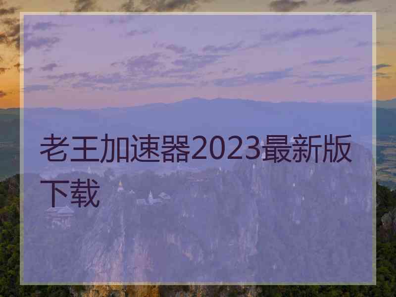 老王加速器2023最新版下载