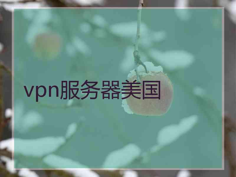 vpn服务器美国