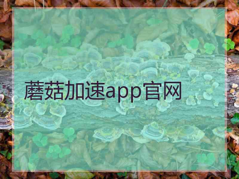 蘑菇加速app官网