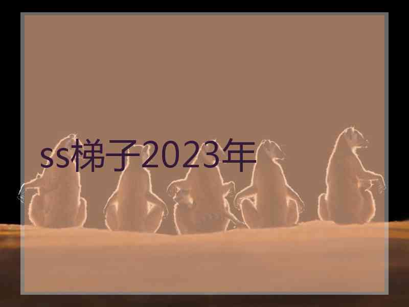 ss梯子2023年