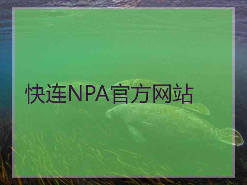 快连NPA官方网站