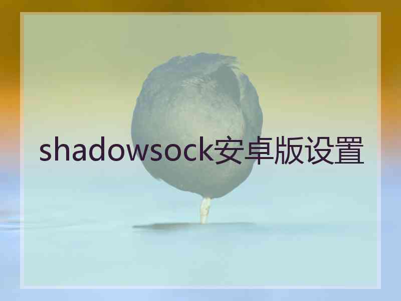 shadowsock安卓版设置