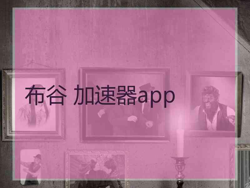 布谷 加速器app