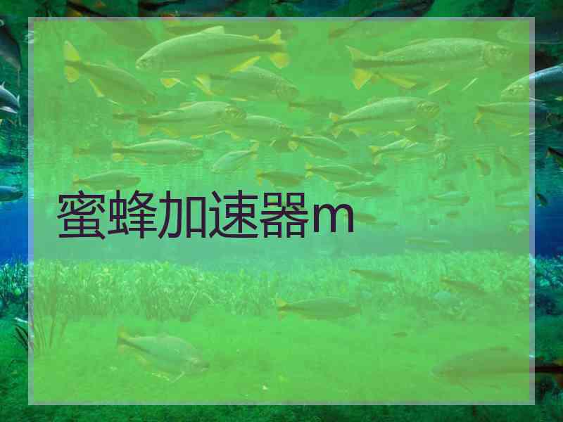 蜜蜂加速器m