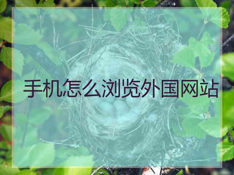 手机怎么浏览外国网站