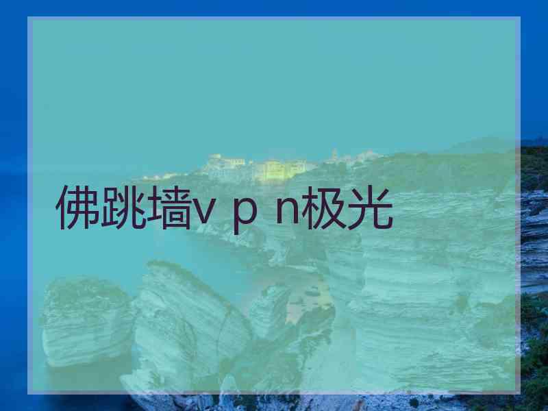 佛跳墙v p n极光