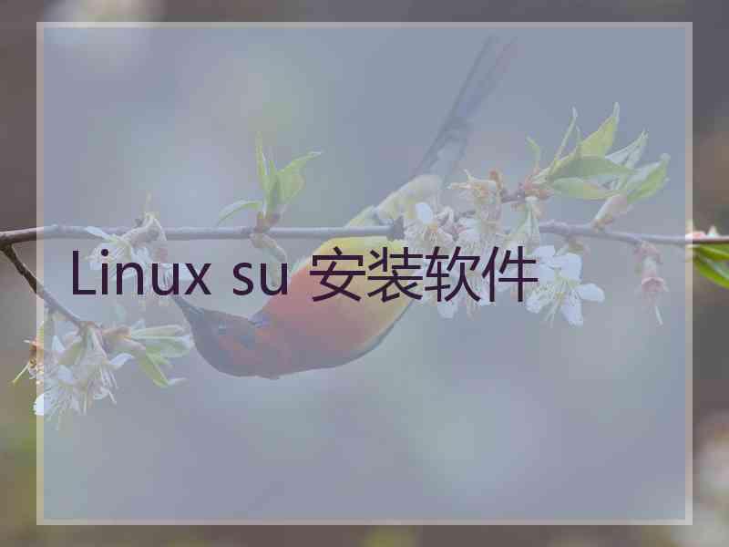 Linux su 安装软件