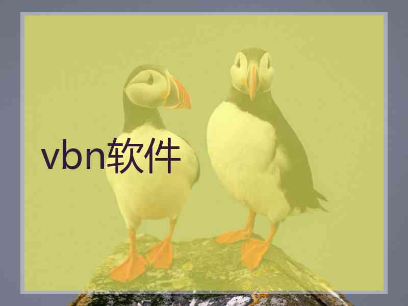 vbn软件