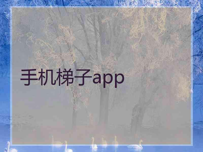 手机梯子app