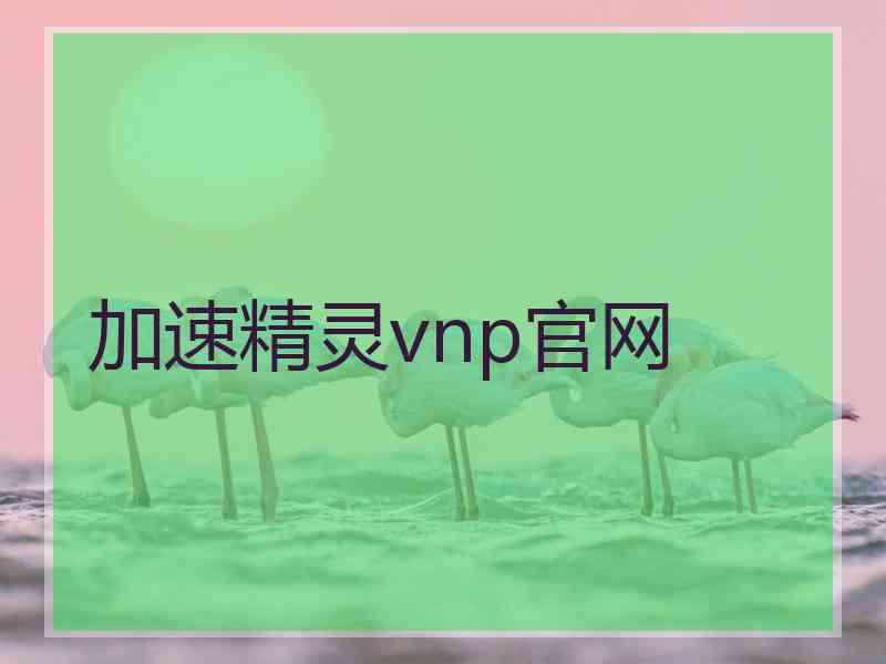 加速精灵vnp官网