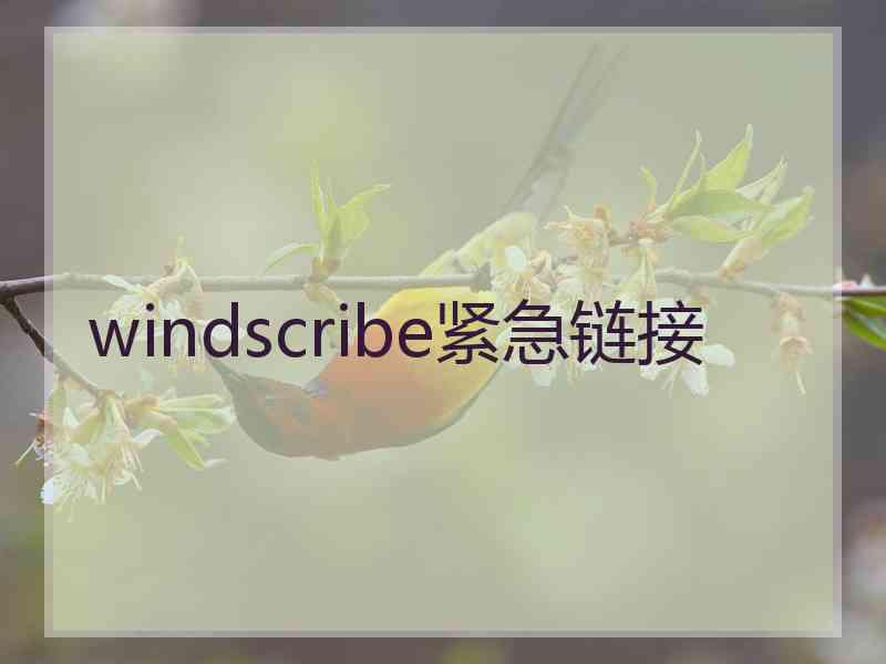 windscribe紧急链接