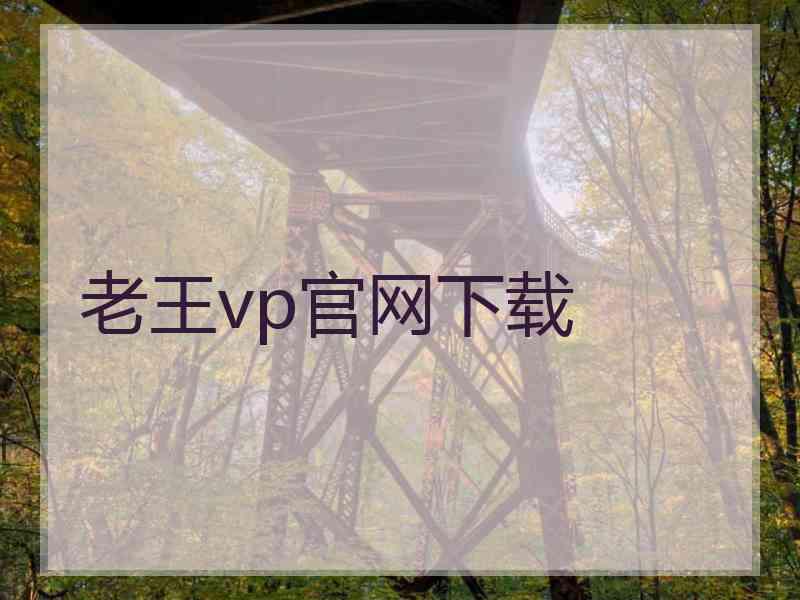 老王vp官网下载