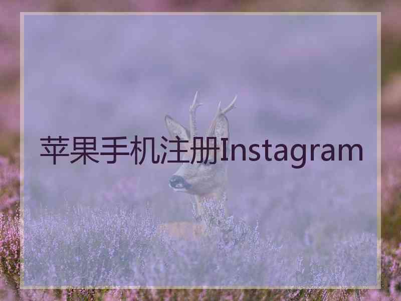 苹果手机注册Instagram