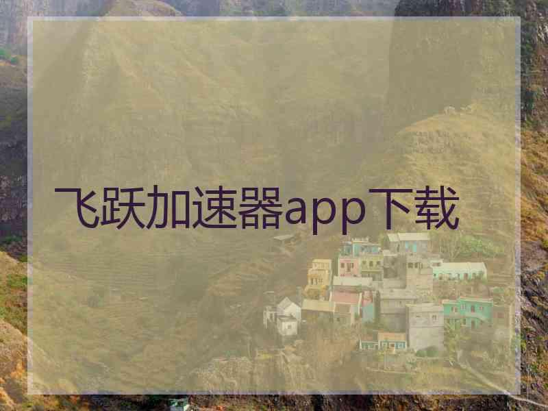 飞跃加速器app下载