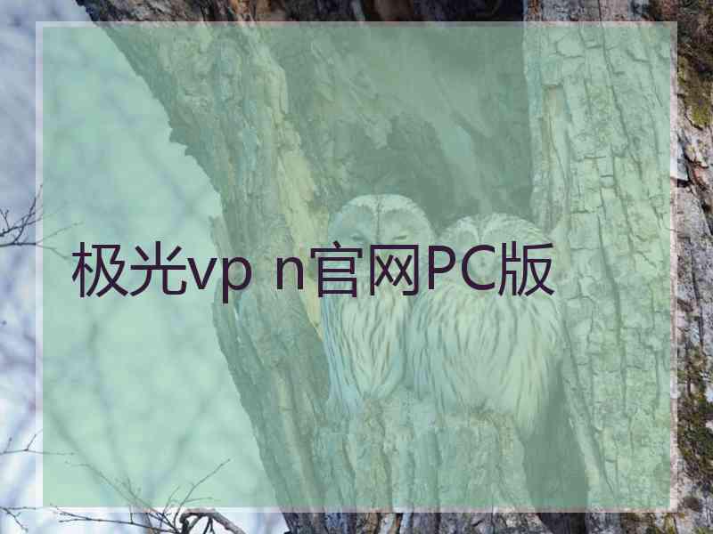 极光vp n官网PC版