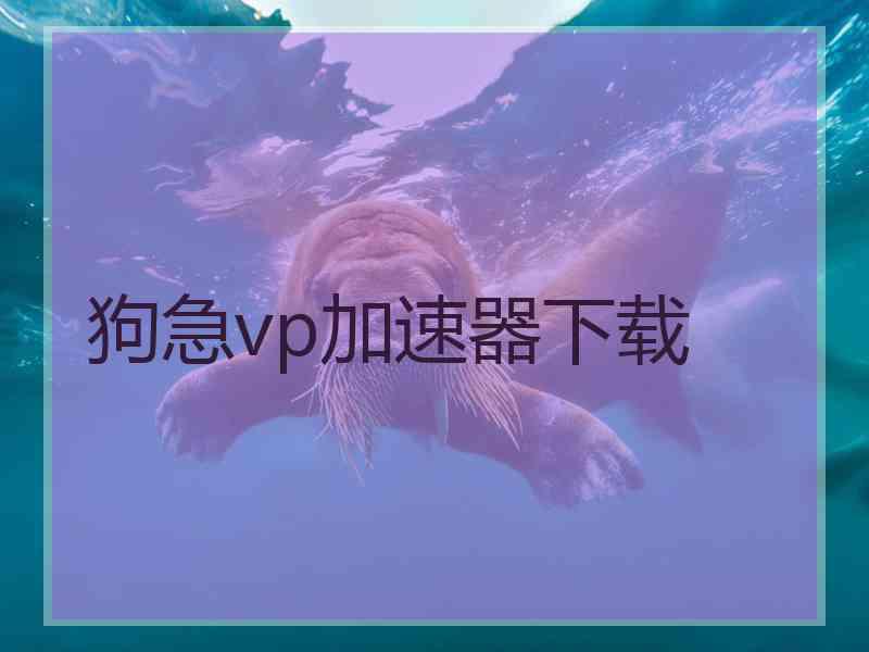 狗急vp加速器下载