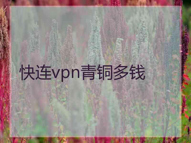 快连vpn青铜多钱