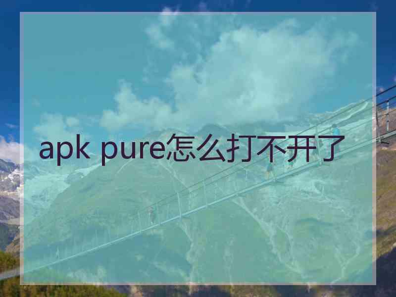 apk pure怎么打不开了