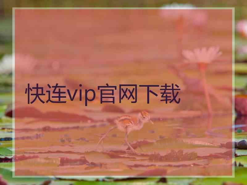 快连vip官网下载