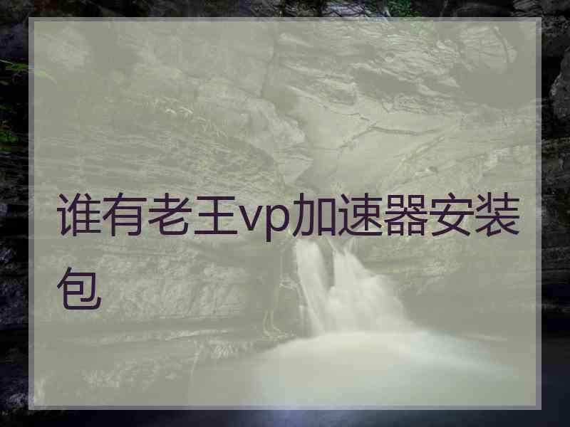 谁有老王vp加速器安装包