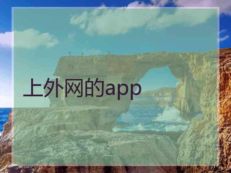 上外网的app