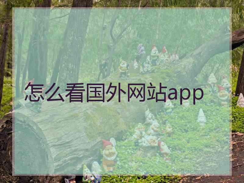 怎么看国外网站app