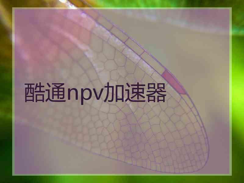 酷通npv加速器